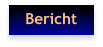 Bericht